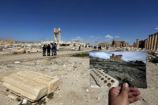 palmyra